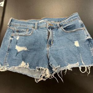 Unbranded Women's Blue and Navy Shorts